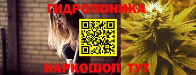 spice Белореченск